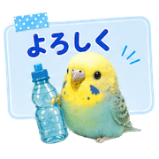 006