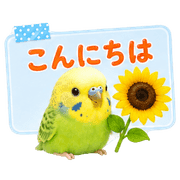 008