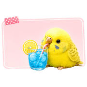 022