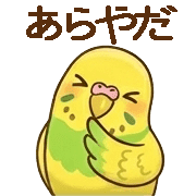 006