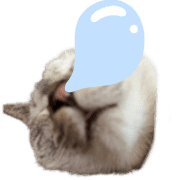 017