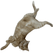 018