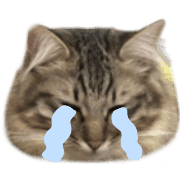 025