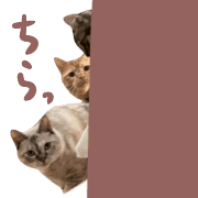 035