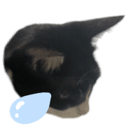 006