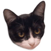 007