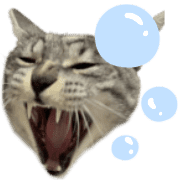 013