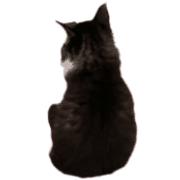021
