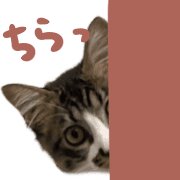 024
