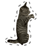 035