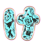009