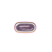 251
