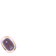 256