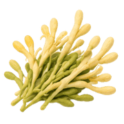 015
