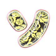 095