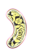 235