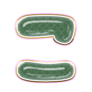 010