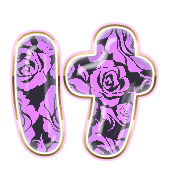 009