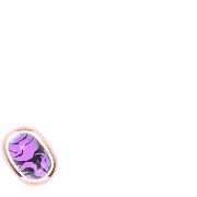 256