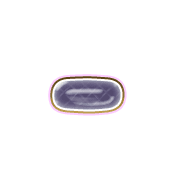 251