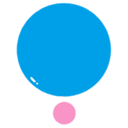 031