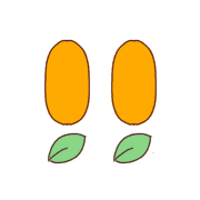 029