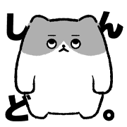 006