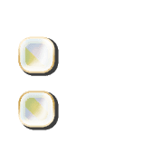 244