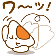 019