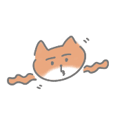 031