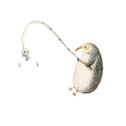 011