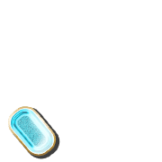 256