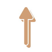 260