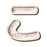 010