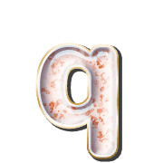 204