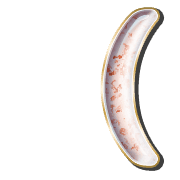 234