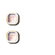 244