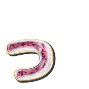 052