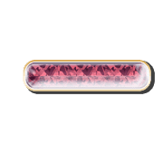161