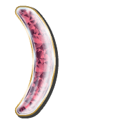235