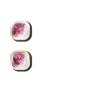 244