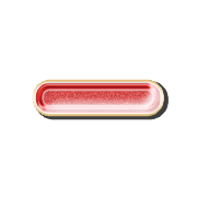 251