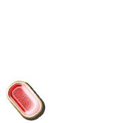 256