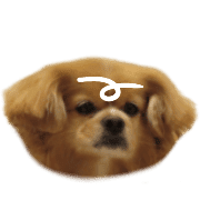 021