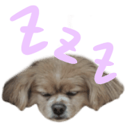 029