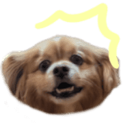 033