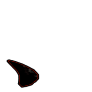 031
