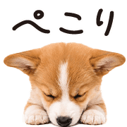008
