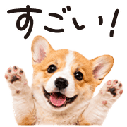 014