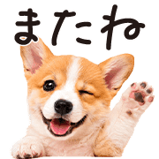040